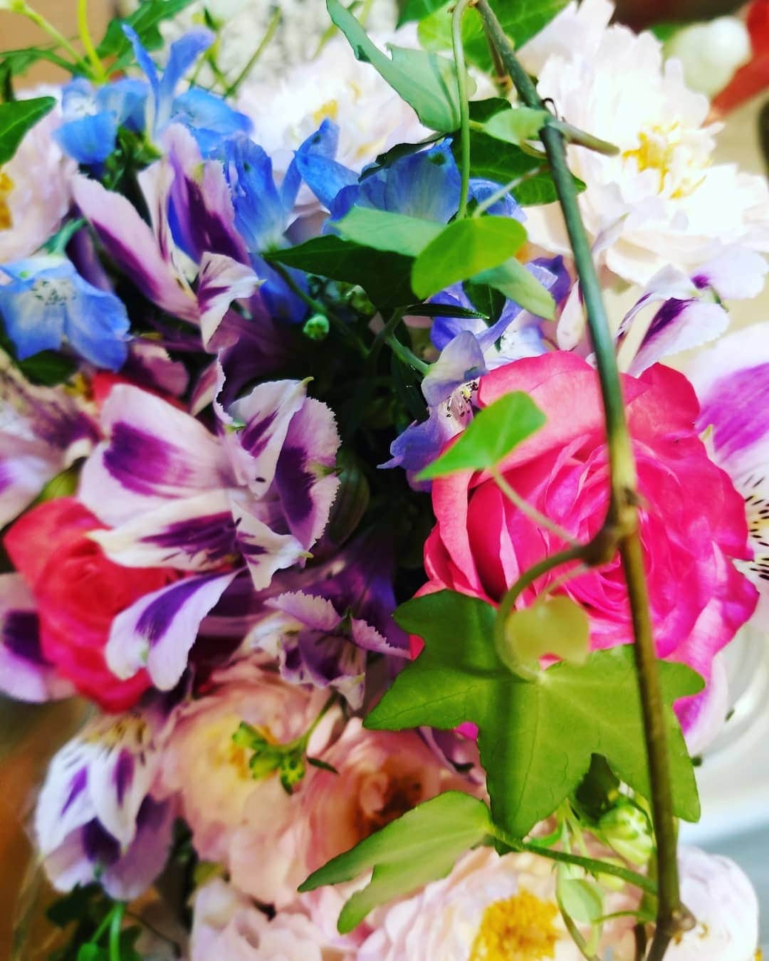 のインスタグラム：「お花キレイよね〰️‼️和む✨ #花 #谷口キヨコ #きよぴー」