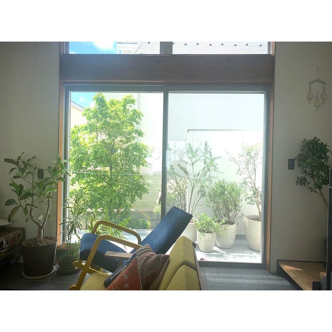 土井地恵理子さんのインスタグラム写真 - (土井地恵理子Instagram)「・ 植物をメンテナンスした🌿 窓の外にグリーンがいっぱい。 気持ち良い晴れの日🌞 ・ ・ @solsofarm に事前に家を見に来てもらって 日当たりなどを見て 好みを伝えて 環境にあった植物を選んでもらいました🙏🏼 ・ 今まであった植物も 置く場所のアドバイスをもらって 変えてみたら元気になったりして。 ・ 細かく説明もしてもらって これで安心して育てられるし 更に愛着が🌳🧡 ・ ・ 毎朝、水やりしながら 成長を見るのが楽しい〜◡̈ ・ ・ #greenlife #植物 #植物のある暮らし #solsofarm #lifestyle #mylifemystyle #ライフスタイル #myhome #d_home」6月16日 20時48分 - ericodoiji