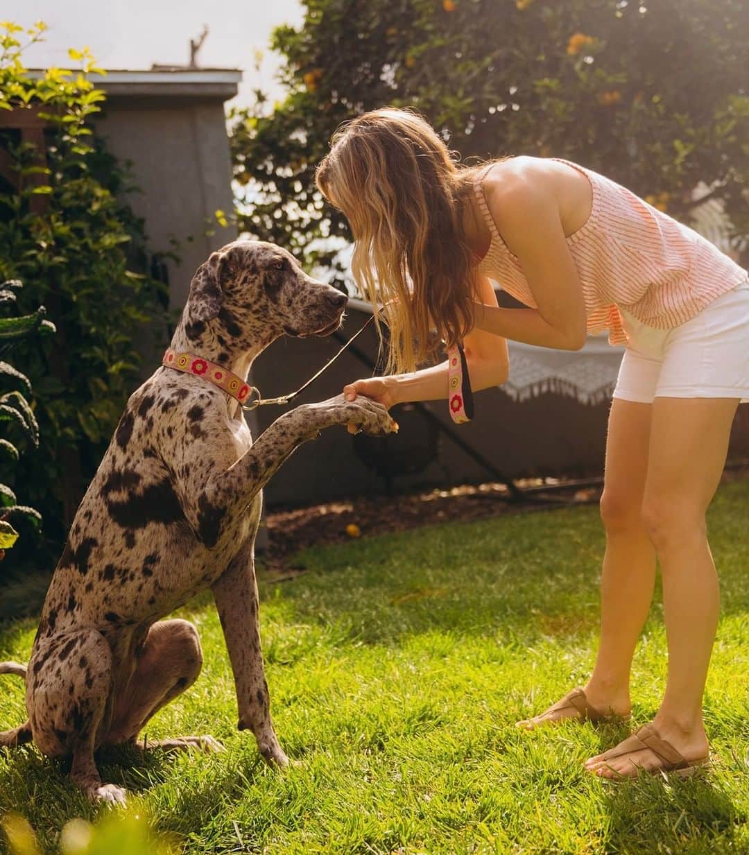 ダンスコのインスタグラム：「The perfect pair.」