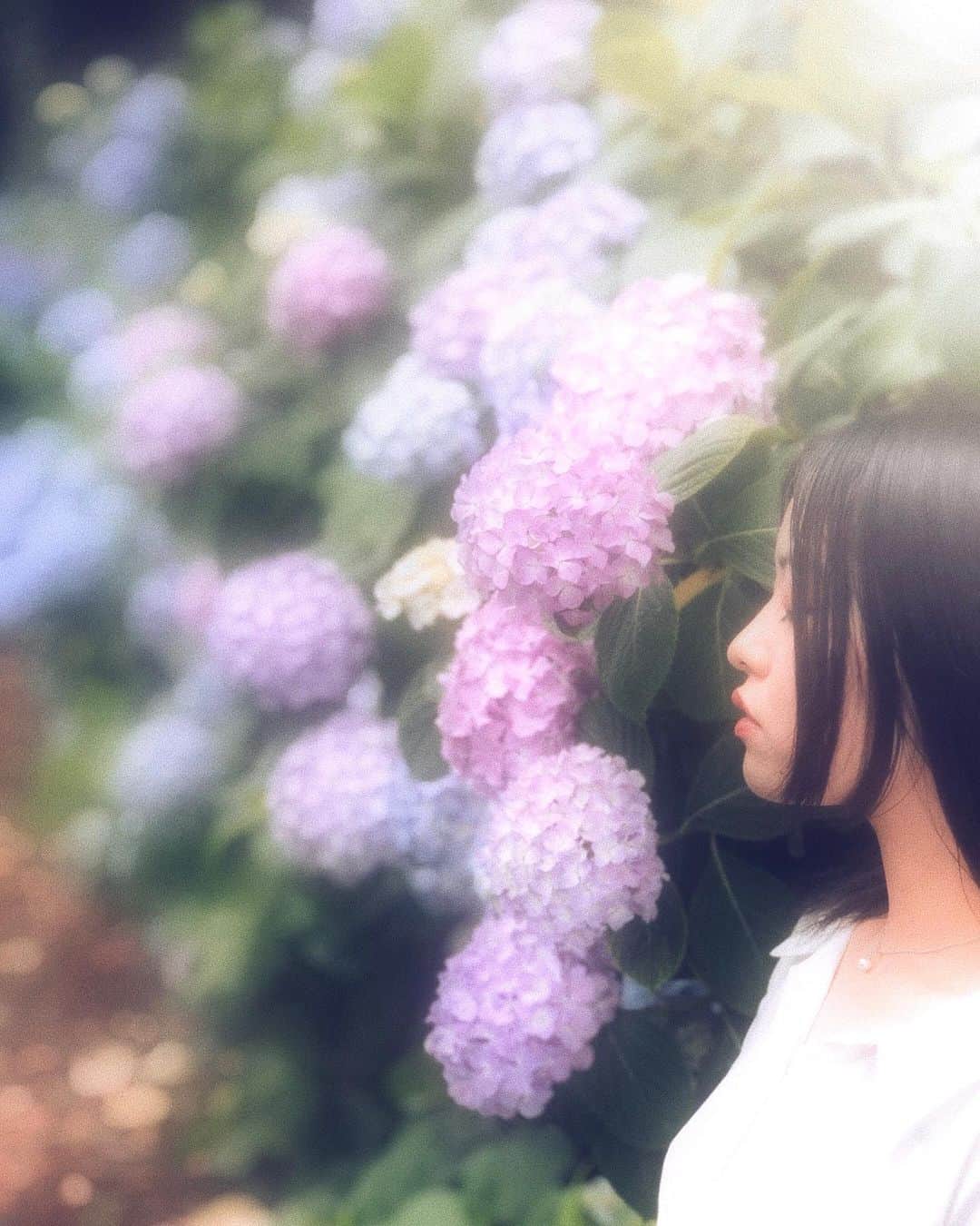 michicusaのインスタグラム