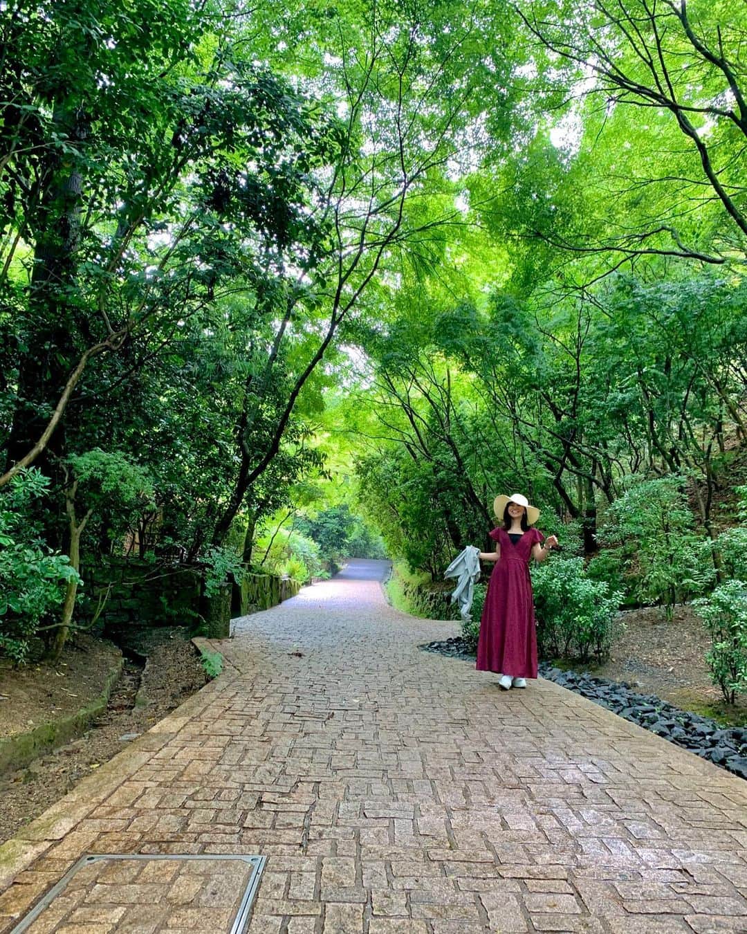 のインスタグラム：「森林浴🌲 * 新緑と自然に癒された🥺❤️ * #森林浴 #新緑 #京都 #緑 #カニ」