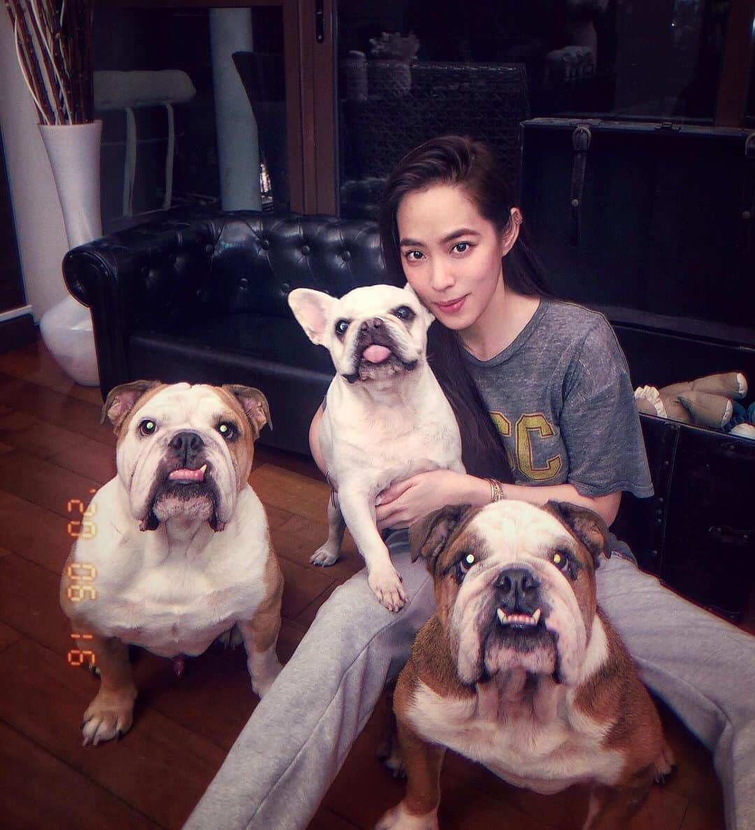 アリッサのインスタグラム：「(half of) lockdown squad... we survived over 2 months~! mixed feelings about circuit breaker comin’ to an end... // #awissadogz enticed by treats for picture op. x」