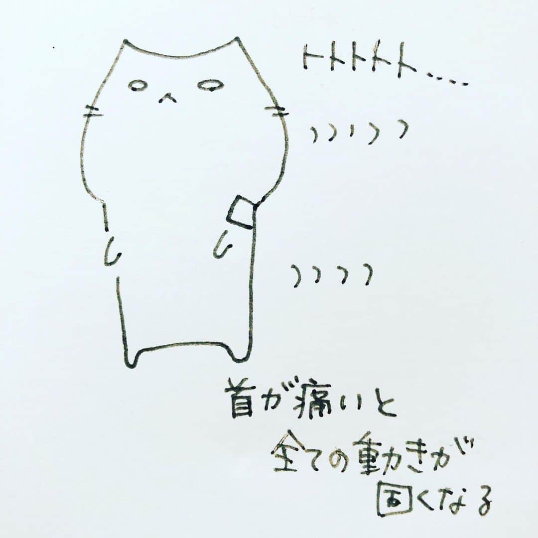 渋谷飛鳥さんのインスタグラム写真 - (渋谷飛鳥Instagram)「最近周りで首を痛める人が多い気がする」6月16日 21時45分 - shibuya_asuka_official