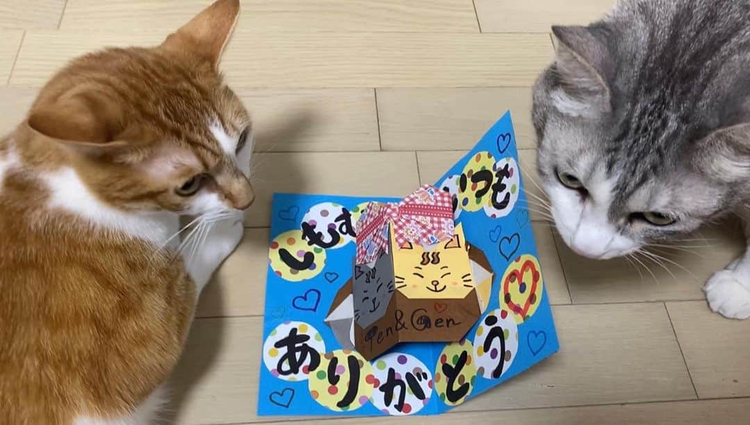 下村啓太のインスタグラム：「ファンの方から頂きました🙏🌞 素敵過ぎてオジサン泣きそうになったので載せさせてもらいます🌞 時間をかけて作って頂き感謝🙏🌞 #テンスタグラム #ゲンスタグラム #猫のいる暮らし #感動をありがとう」