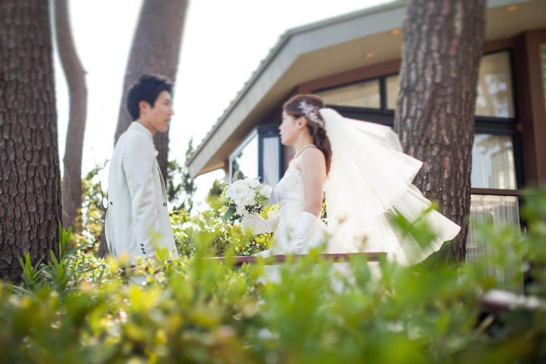 指帆亭のグルメインスタ