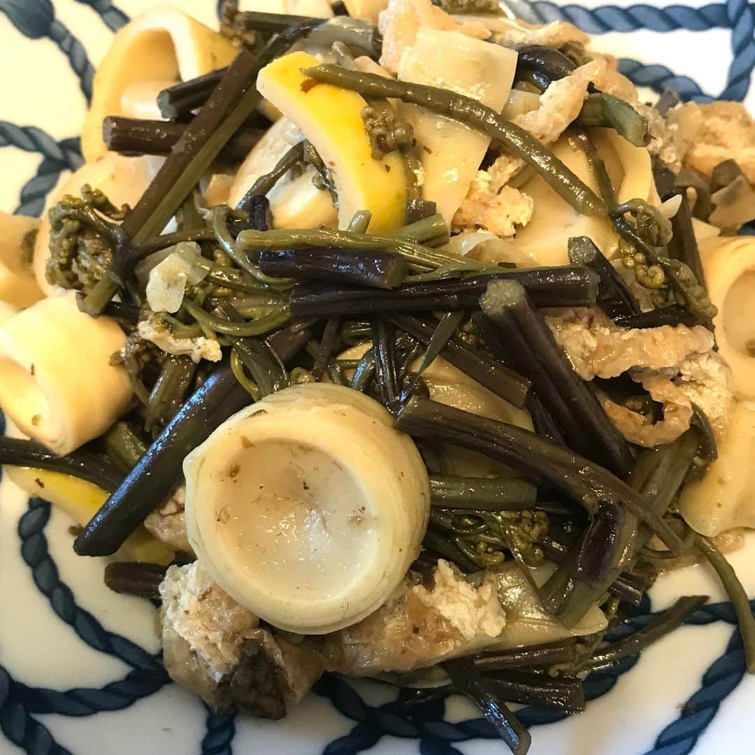 岡まゆみのインスタグラム：「お山の蕨美味しく炊けました❣️#蕨#栃尾の油揚げ#破竹#岡まゆみ」