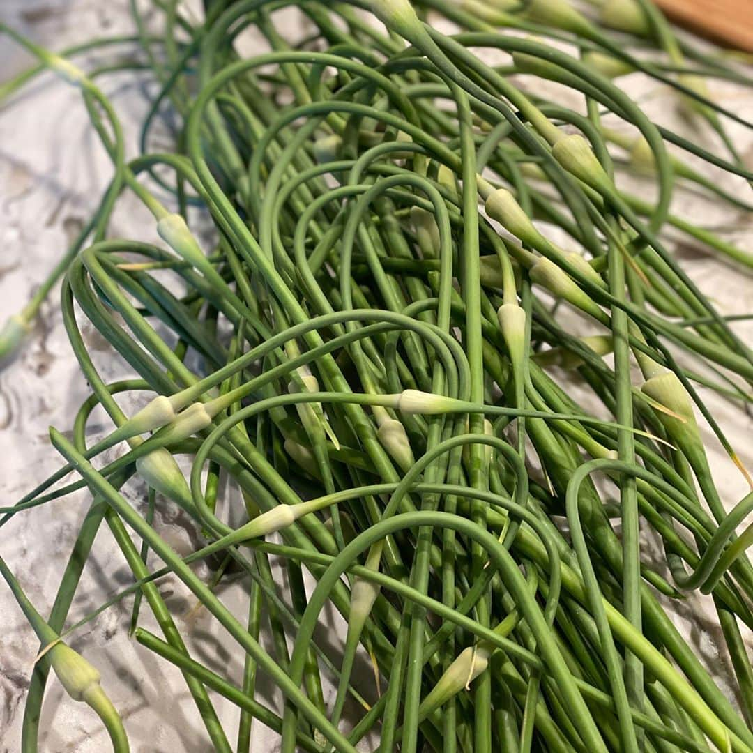 ginger and sproutさんのインスタグラム写真 - (ginger and sproutInstagram)「Garlic Scapes. You trim the flowering bud of garlic. Cut the flower and the woody stem and use the scapes to make pesto, sauté in stir frys or roast on the grill. Garlic and spicy.」6月16日 23時53分 - gingerandsprout