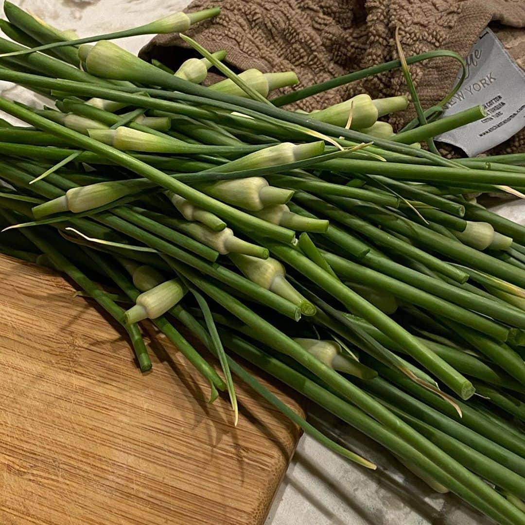 ginger and sproutさんのインスタグラム写真 - (ginger and sproutInstagram)「Garlic Scapes. You trim the flowering bud of garlic. Cut the flower and the woody stem and use the scapes to make pesto, sauté in stir frys or roast on the grill. Garlic and spicy.」6月16日 23時53分 - gingerandsprout