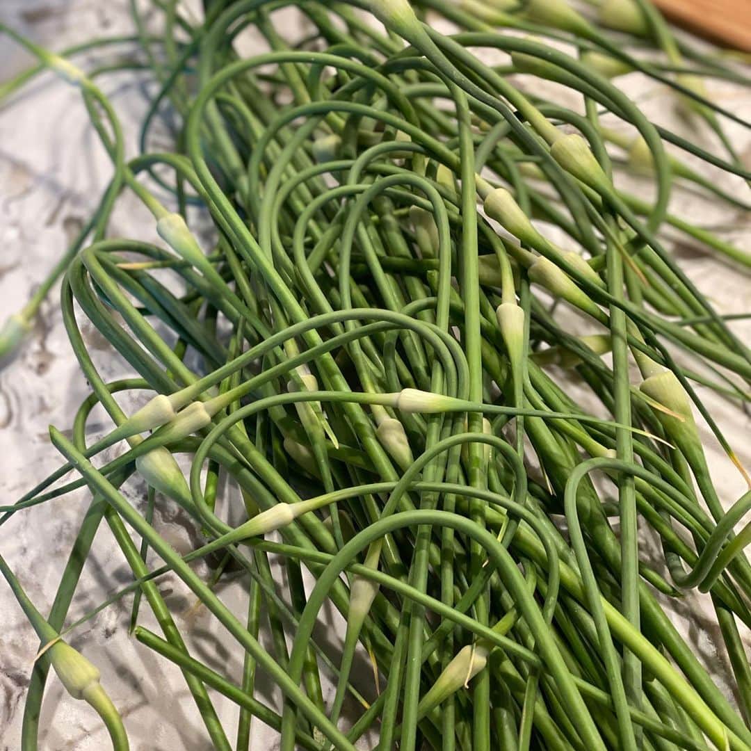 ginger and sproutのインスタグラム：「Garlic Scapes. You trim the flowering bud of garlic. Cut the flower and the woody stem and use the scapes to make pesto, sauté in stir frys or roast on the grill. Garlic and spicy.」