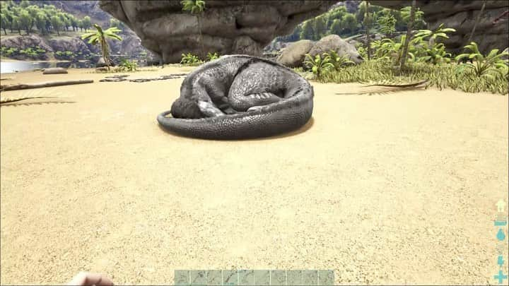 エジマハルシのインスタグラム：「かーわーいーいー #arksurvivalevolved」