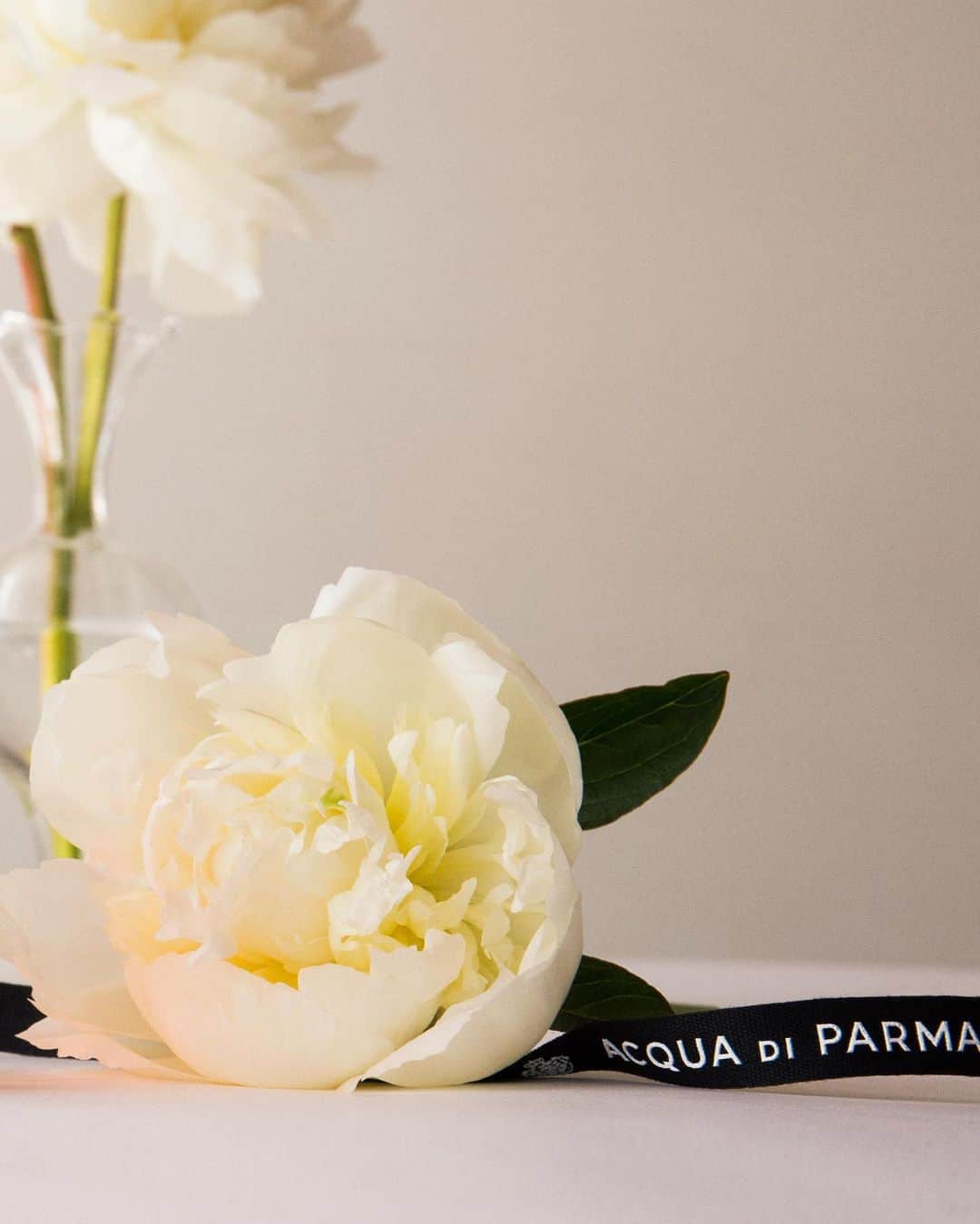 アクアディパルマさんのインスタグラム写真 - (アクアディパルマInstagram)「Peonies are often associated with love, as the first blooms of summer. Celebrate the season of these great flowers with a fresh delivery from @theflowerbx and a sample of our fragrant Peonia Nobile, to transport you instantly to a sunny Italian garden, from the comfort of your home. . . #acquadiparma #lenobili #peonianobile #flowerbx」6月17日 2時18分 - acquadiparma