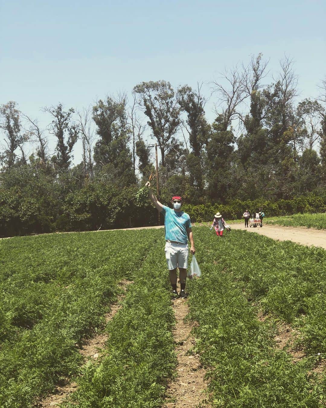 ヘザー・モリスさんのインスタグラム写真 - (ヘザー・モリスInstagram)「Strawberry fields forever with my @hubbell_woodshop」6月17日 3時17分 - heatherrelizabethh