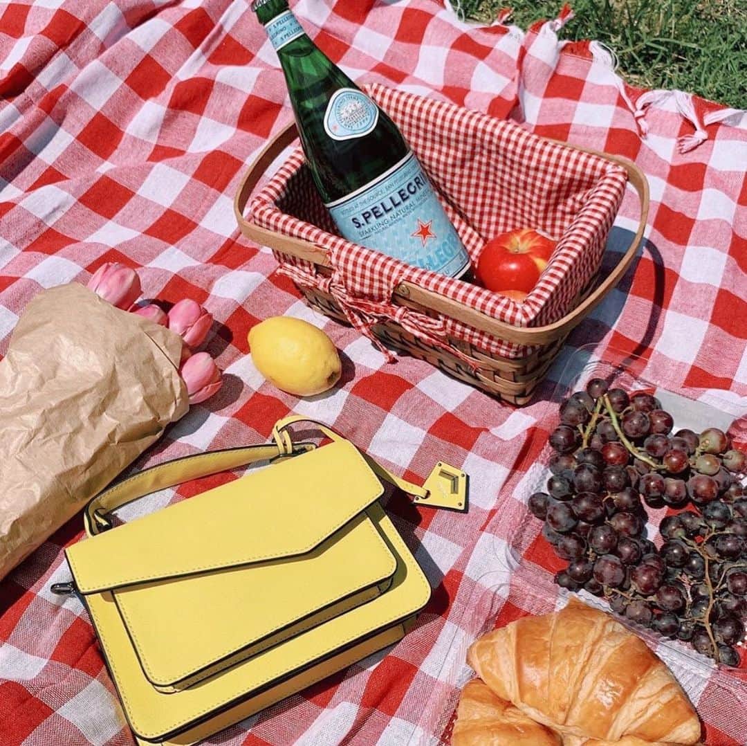 ボトキエのインスタグラム：「This picnic spread is 💯 @haleyly0ns #botkier #girlonthego」