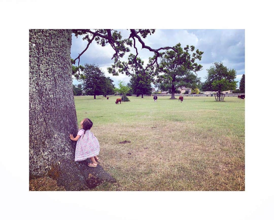 ダイアナ湯川さんのインスタグラム写真 - (ダイアナ湯川Instagram)「Just before the crazy storm arrived... ⛈ . . . . #daughter #two #toddler #mygirl #minchinhamptoncommon #cows #storm #cotswolds」6月17日 6時33分 - diana.yukawa