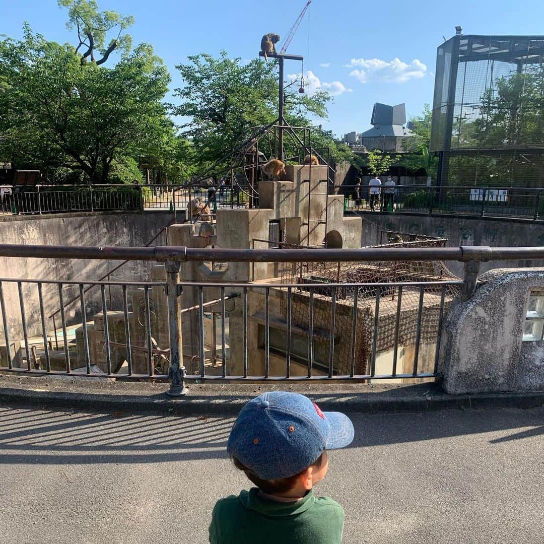 澤野井香里さんのインスタグラム写真 - (澤野井香里Instagram)「久しぶりに#京都動物園　へ🐘✨ ずっとお休みくでようやく行けて、可愛い動物たちに癒された♡  お弁当食べて池でザリガニ探したり♪ （ここでボーっとするのが好きだけど、何度もMが柵をよじ登って池に落ちそうになるのでボーっとできない🤣） 毎月通いたい癒しスポット✨  #ks_20✨ #京都　#動物園　#ベビフル #ママリ #コドモノ #関西ママ #京都ママ #女の子ママ #男の子ママ　#ママライフ　#S⭐️_ #M🍒_  #s⭐️m🍒」6月17日 6時51分 - kaori_sawanoi