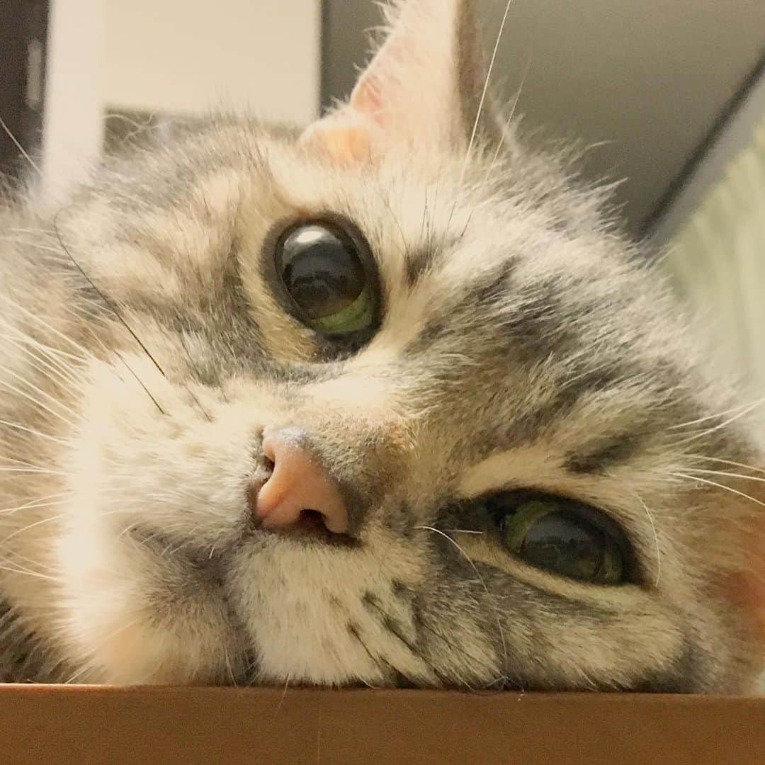 のインスタグラム：「※ なごむ『今週、ながいな。』 #今週も来週も同じ生活のひと #ドアップに耐えうる美少年」