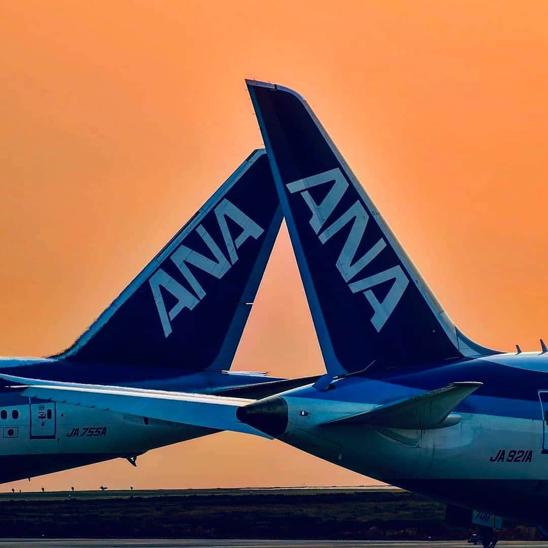 ANAさんのインスタグラム写真 - (ANAInstagram)「明るい未来に向かって✈️﻿ （Photo：@murahi19650603）﻿ ﻿ #一日の始まり #朝日を浴びて #パワーチャージ #力を合わせて #みんなで一緒に #前に進もう #朝空 #羽田空港  #ボーイング777 #ボーイング787 #尾翼 #青い翼 #ソラマニ_ヒコーキ  #together #future #sunrise #beginning #hanedaairport #haneda #B777 #B787 #runway #anaairplane #camera #ana_jp﻿ ﻿ ANAの飛行機は「#ソラマニ_ヒコーキ 」をつけて投稿してね✈️インスタやANAの各メディアでご紹介していきます📷﻿」6月17日 17時25分 - ana.japan