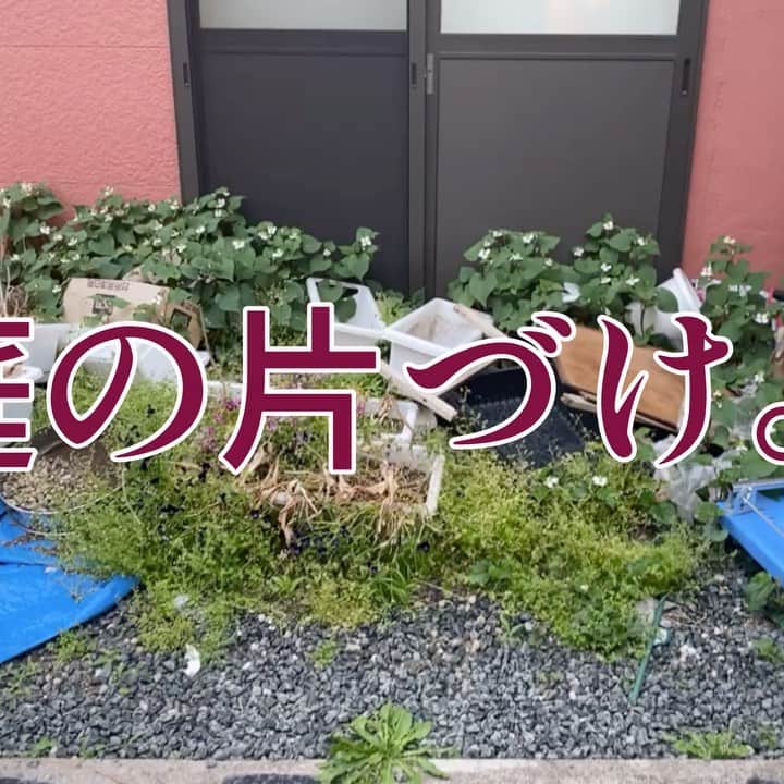 魔女菅原のグルメインスタ