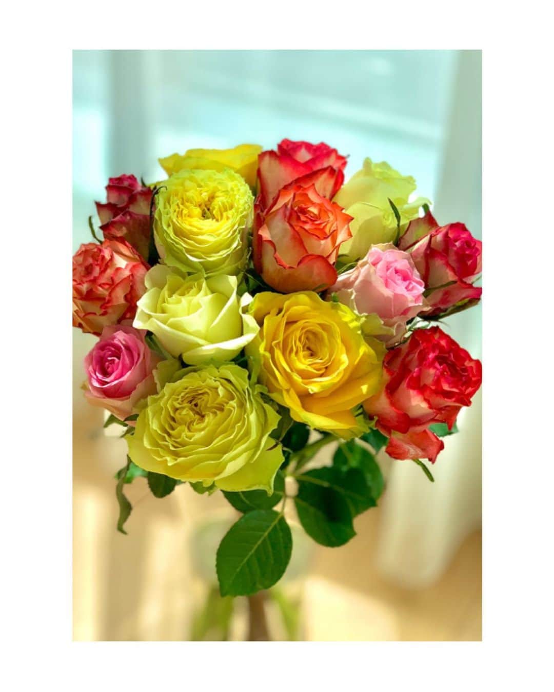 川村亜紀さんのインスタグラム写真 - (川村亜紀Instagram)「色とりどりの綺麗な薔薇。 ケニアにあるソジャンミ農園のバラです。 インスタで一目惚れして、すぐに注文しました。 この薔薇を見ていると、今の人間に語りかけてくれているように感じます。 人それぞれの色を持ち、自由に表現し、お互いを尊重しあい生きていこう。 #roses #oneofmyfavoriteflowers #loveroses #livenobel #lifeisbeautiful #liveyourlife  #世界の花屋 さん #ケニアソジャンミ農園のバラ  #気高く生きよう  #自分の人生を生きよう」6月17日 17時42分 - _aki1015_