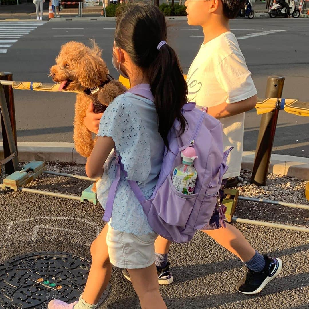 SENNA - セナさんのインスタグラム写真 - (SENNA - セナInstagram)6月17日 17時57分 - tokyodogslife