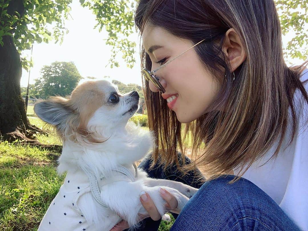 のインスタグラム：「. . Good morning! 1-2-3🐶❤️😑 . #おはよう#goodmorning#お気に入りの写真#3枚目#公園#愛犬」