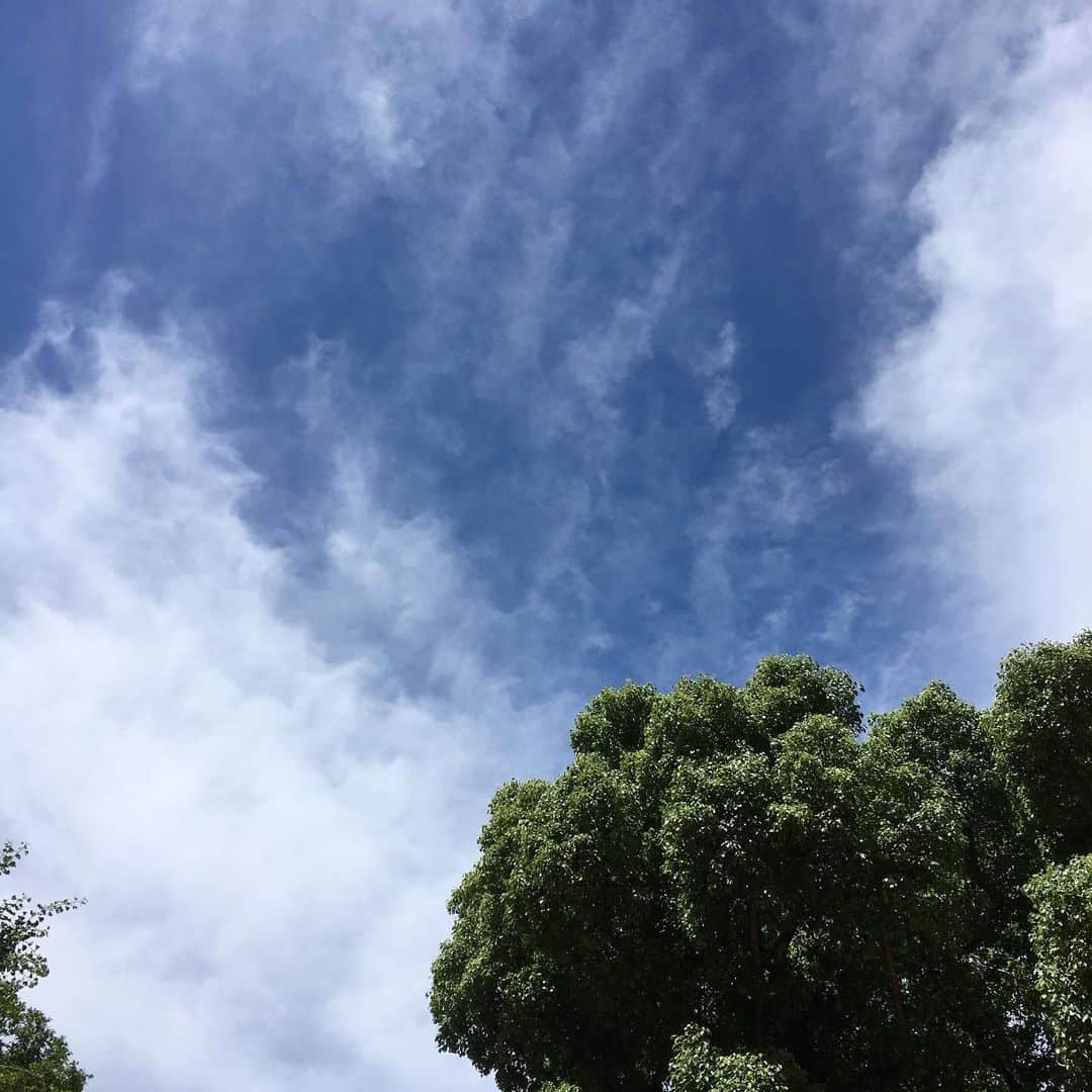 平野由実さんのインスタグラム写真 - (平野由実Instagram)「#いい天気 #加工なしの空 #日陰は涼しい」6月17日 9時57分 - yumi_hiranoo