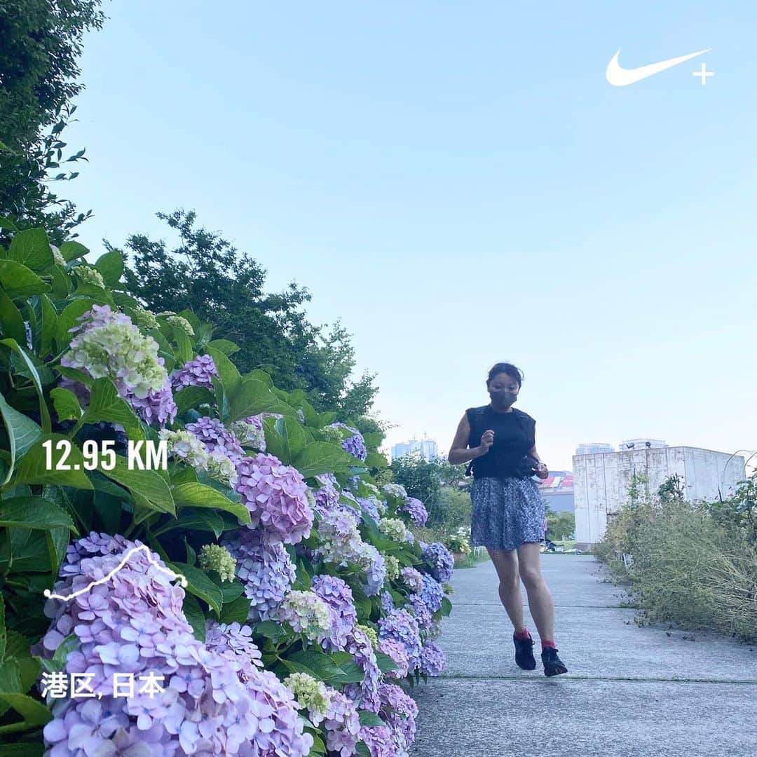 のインスタグラム：「夕暮れの紫陽花と東京タワー見ながら #帰宅ラン …場所間違えて #切りひらひらく 間に合わなかったー😭 なので外から|_-｡) 繊細さが伝わりませんね💦 ってことで来週リベンジ帰宅ラン😂 大丈夫、開催は6/28まで♪ 場所は表参道スパイラルビル1F うっとりしちゃう切り絵の世界♡ 見入っちゃいます😍  #No密RUN  #いまわたしができること #runのために今できること #走れるって幸せ　#走れるって当たり前じゃない #ラン #ランニング #RUN #running #ゆるラン #街ラン #街RUN #ランニング女子 #ハシリマスタグラム #ハシリマシタグラム #ぼっちラン #ヒトリデハシロウ #通勤ランニング #帰宅RUN #帰宅ランの楽しみ #写真で伝えたい私の世界 #写ラン #DaysArt #アート散歩 #Runday #RunLovesLife #runstagram @runplus #aday」