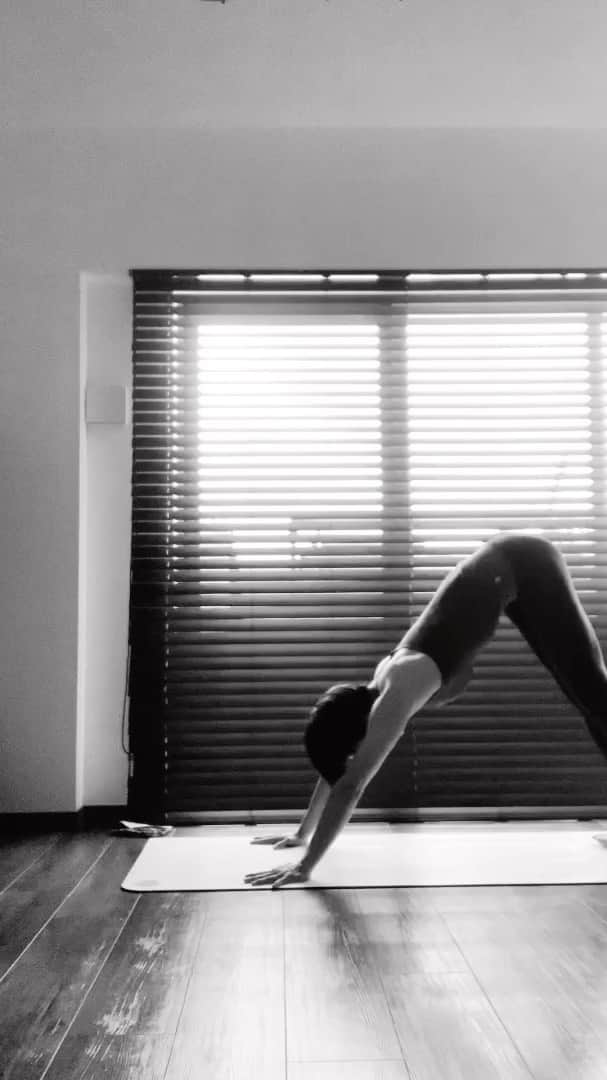 宮城由香のインスタグラム：「. 娘の大きなぬいぐるみを 水洗いして絞ってを繰り返したら腕が疲れて重過ぎた… （↑いいわけ☺︎） . 腕の重さも引きあげられる体幹の強さつけましょう。 . . #practice #backbend #urdhvadhanurasana  #ドロップバック #カムアップ」