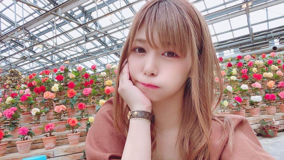 紺野ひかるのインスタグラム：「. おはよう🌞🌷 . . #紺野ひかる #こんぴか #セクシー女優 #AV女優」