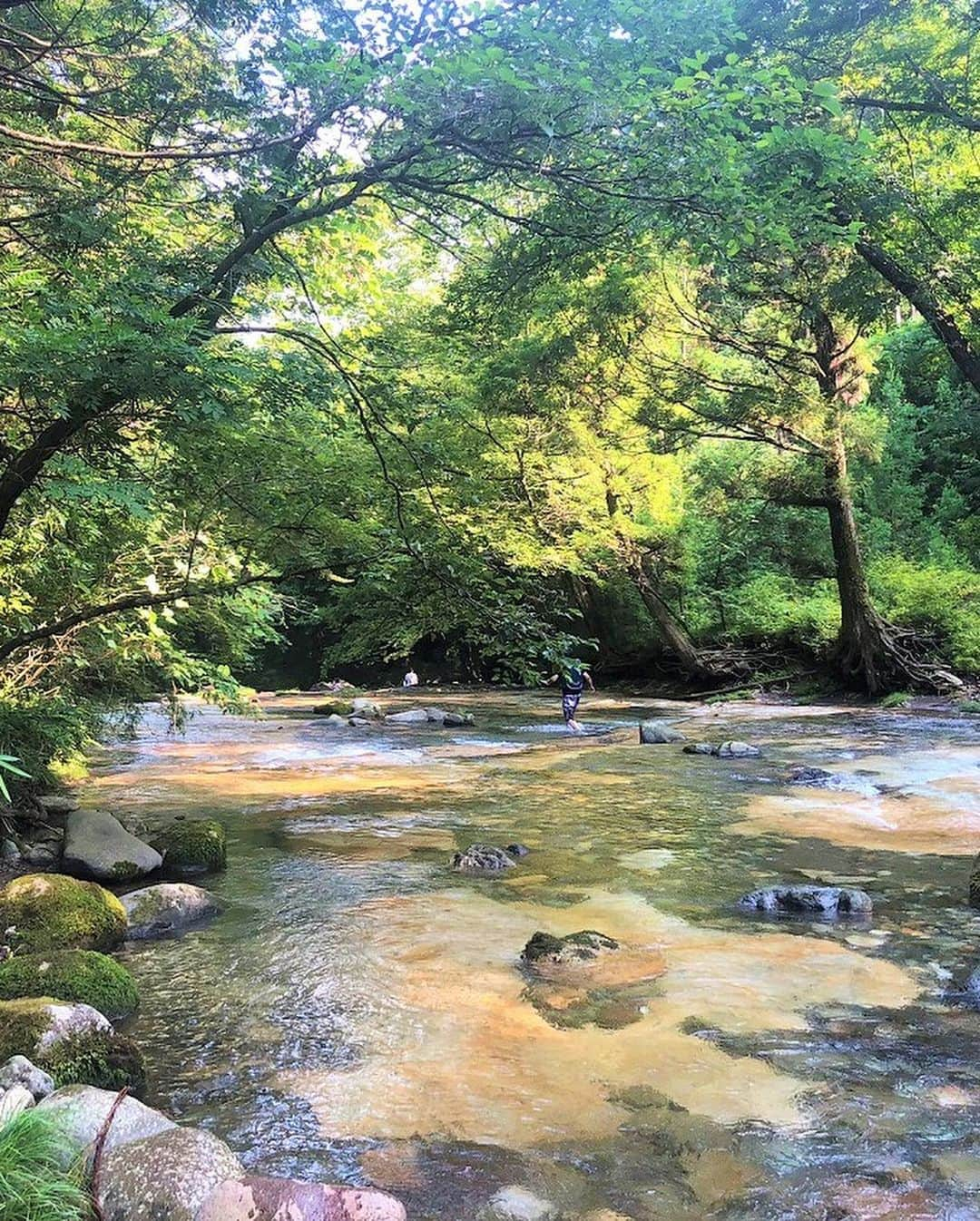 TOBU RAILWAY（東武鉄道）さんのインスタグラム写真 - (TOBU RAILWAY（東武鉄道）Instagram)「. . 🚩Tokoname - Nikko . . . [Nikko, Tokoname in Kobyaku] . Tokoname is located along the Kirifuri River in Nikko. As the river bottom of Tokoname is a monolith, it is very smooth with very little sand or rugged stones which are generally found in rivers. That is why Tokoname is also called a natural water slide. The water there is clear and very clean. It takes about 15 minutes by taxi from Tobu Nikko Station. Please note that there are no toilets, dressing rooms, or trash cans in this untouched spot in nature. . . #visituslater #stayhome #staysafe . . . . #tochigi #nikko #tokoname #japantrip #travelgram #tobujapantrip #discovernikko #unknownjapan #jp_gallery #visitjapan #japan_of_insta #art_of_japan #instatravel #japan #instagood #travel_japan #exoloretheworld  #landscape #ig_japan #explorejapan #travelinjapan #beautifuldestinations #toburailway #japan_vacations #okunikko #nikkojapan」6月17日 10時40分 - tobu_japan_trip