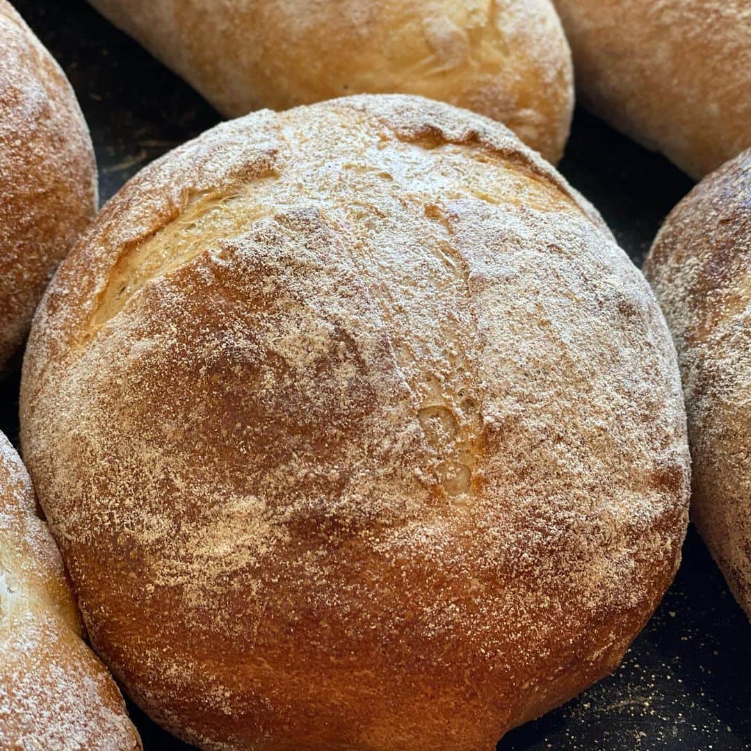 魔女菅原のグルメインスタ