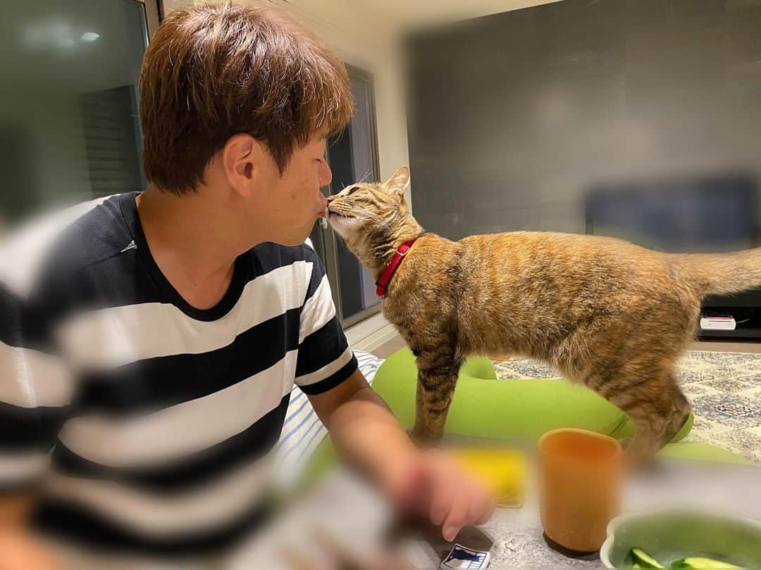 ロッシーさんのインスタグラム写真 - (ロッシーInstagram)「キス！ KISS！  久しぶりに、キスしました！ ドキドキ！  お友達の猫ちゃん！ 可愛い！  ありがとう！ ドキドキしたよ！  #キス！ #KISS！  #久しぶり #ドキドキ！  #お友達の #猫 ちゃん #可愛い！  #ありがとう！  #野性爆弾 #ロッシー #より。 #ロシ写真 #吉本自宅劇場」6月17日 11時43分 - yaseibakudan_rossy