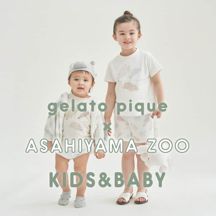 ジェラートピケさんのインスタグラム写真 - (ジェラートピケInstagram)「【COLLABORATION】  gelato pique × ASAHIIYAMA ZOO 6.24(WED) RELEASE.  旭山動物園のスペシャルなコラボレーションが実現！  たくさんの子どもたちが動物に親しみを持てるようにとデザイナーが実際に見て感動した動物たちを柄にました。 商品には、柄にした動物を紹介するコメント入りのタグ付き。 ぜひ、お子様といっしょに読んでみてください。  #gelatopique  #ジェラートピケ #roomwear  #あさひやま動物園  @gelatopique_official_snap」6月17日 11時50分 - gelatopique_official