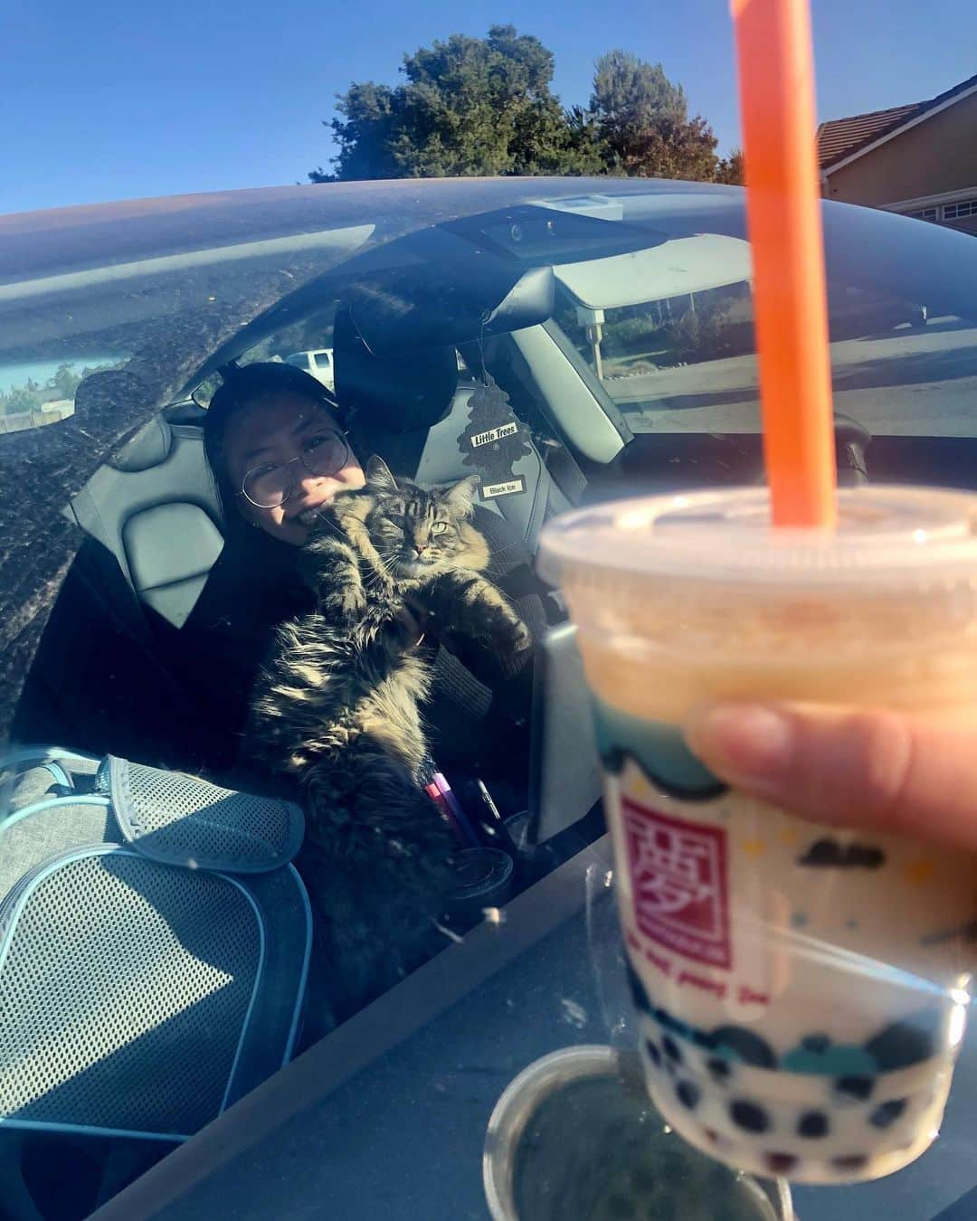 リリー・チャンさんのインスタグラム写真 - (リリー・チャンInstagram)「24 today. So this one drove all the way down from Oakland to surprise me with BOBA and CATS. Sorry I was napping and you had to call me a million times before I finally got up. Also I had a giant bowl of noodles, which according to my parents, is necessary to live a long life. Not a bad day 🐱🍜🥰」6月17日 12時05分 - lilyyz