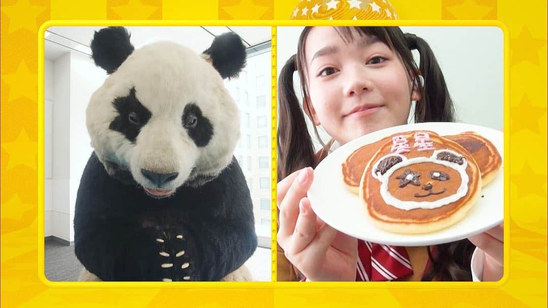 星星（セイセイ）さんのインスタグラム写真 - (星星（セイセイ）Instagram)「🥞🌟 . #星星パンケーキ #みんなもデコレーションしてみてね . きょうの #ベラベラENGLISH は…💯 🌟Fluffy! 🌟ふわふわ！ . #星星 #パンダ #panda #pandagram #パンダ好きな人と繋がりたい #レイア #相方 #ZIP!」6月17日 12時10分 - seisei_panda