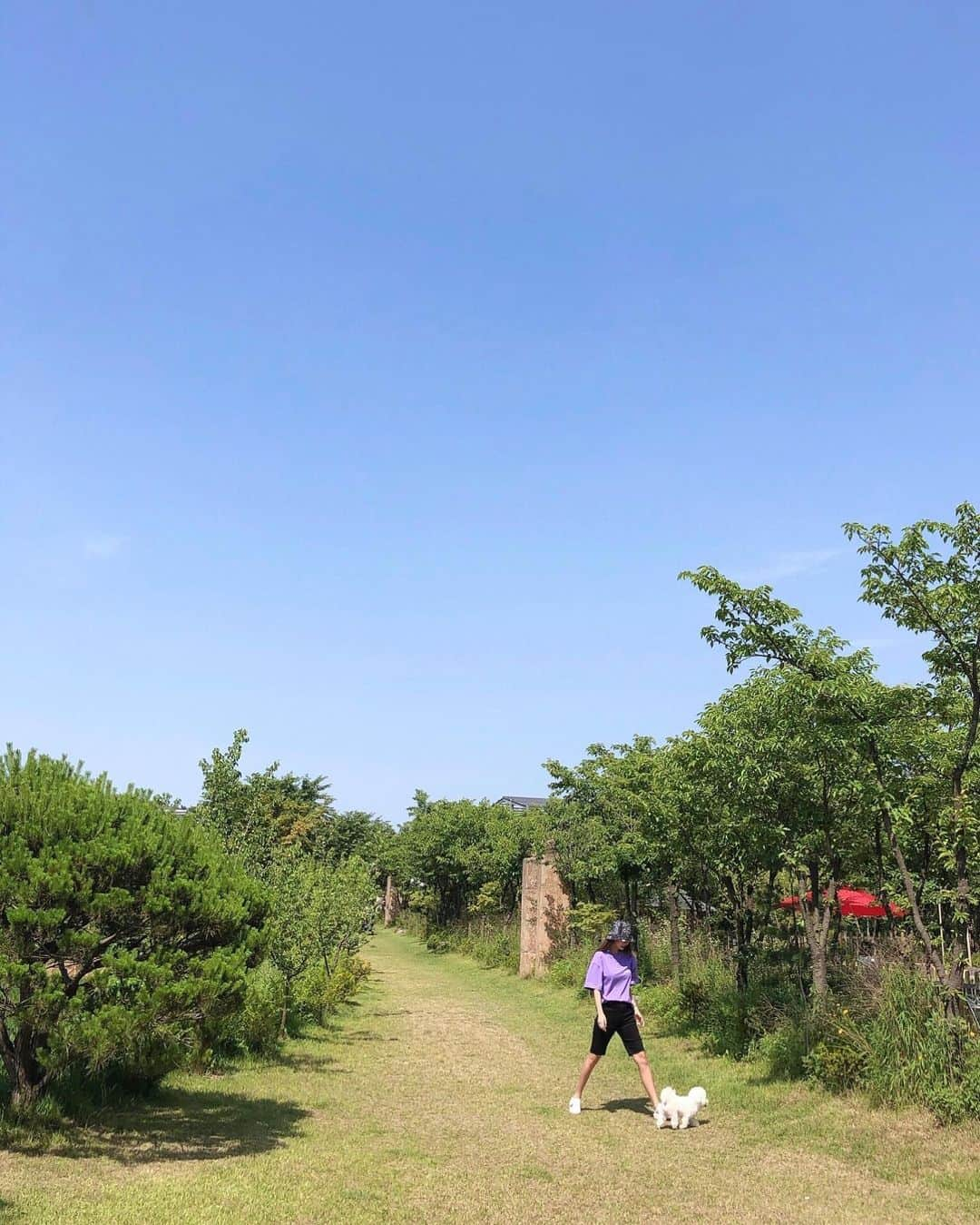 キュリ さんのインスタグラム写真 - (キュリ Instagram)「Healing Ground 🍇🌿」6月17日 12時23分 - qtfreet