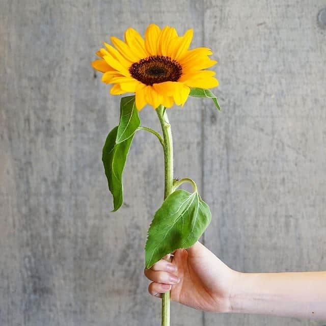 GRANADA SUITE（グラナダスィート福岡）のグルメインスタ