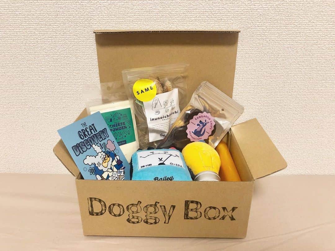 下平夏奈さんのインスタグラム写真 - (下平夏奈Instagram)「Doggy Box 6月号が ピノへ届きました⭐️ @doggybox_jp : : 6月のテーマは『実験』 : ●可愛らしい電球と電圧計のおもちゃ ●カルシウムたっぷり わんフルチーズ ●アブラツノ鮫むなびれ ●カンガルーチップス 厳選した国内生産のおやつも入ってたよ♩  Boxを開けた瞬間から ピノはおもちゃに興味深々で、 すぐに遊びだしました！  ワンちゃんを飼われている方は ぜひ一度、ユニークで可愛らしい Doggy Box を生活に 取り入れてみてはいかがでしょうか？  愛犬の新たな一面が見れるかもしれません✨ (最後のピノの笑顔ショットが最近のお気に入りです⭐️) : : #doggybox #ドギボ #サプライズBox  #犬のいる暮らし #犬 #犬バカ部  #わんこ #わんこのいる生活  #ドッグウェア #ドッグヨガ  #dog #dogstagram #doglover  #dogs #pr #もふもふ #ミックス犬」6月17日 12時33分 - kana0412.sss