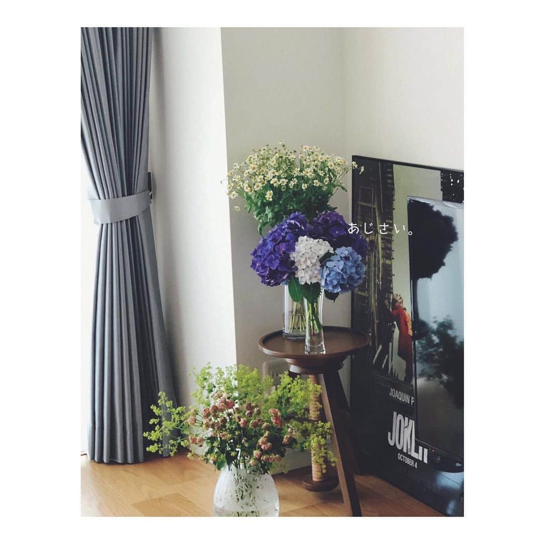 笹峯愛さんのインスタグラム写真 - (笹峯愛Instagram)「2020.6.17 . マンションのお庭 あちこちで育ててある紫陽花。  エレベーターホールに「ご自由にどうぞ」とありますよ  とママ友からの情報が。 . 見にいくと大量の紫陽花が バケツに入れて置いてありました。  なんだろう…花屋で見る紫陽花より野生的（笑）. . 大小で6本ほど、いただいて 我が家を彩っていただいてます。」6月17日 12時35分 - mineco.m