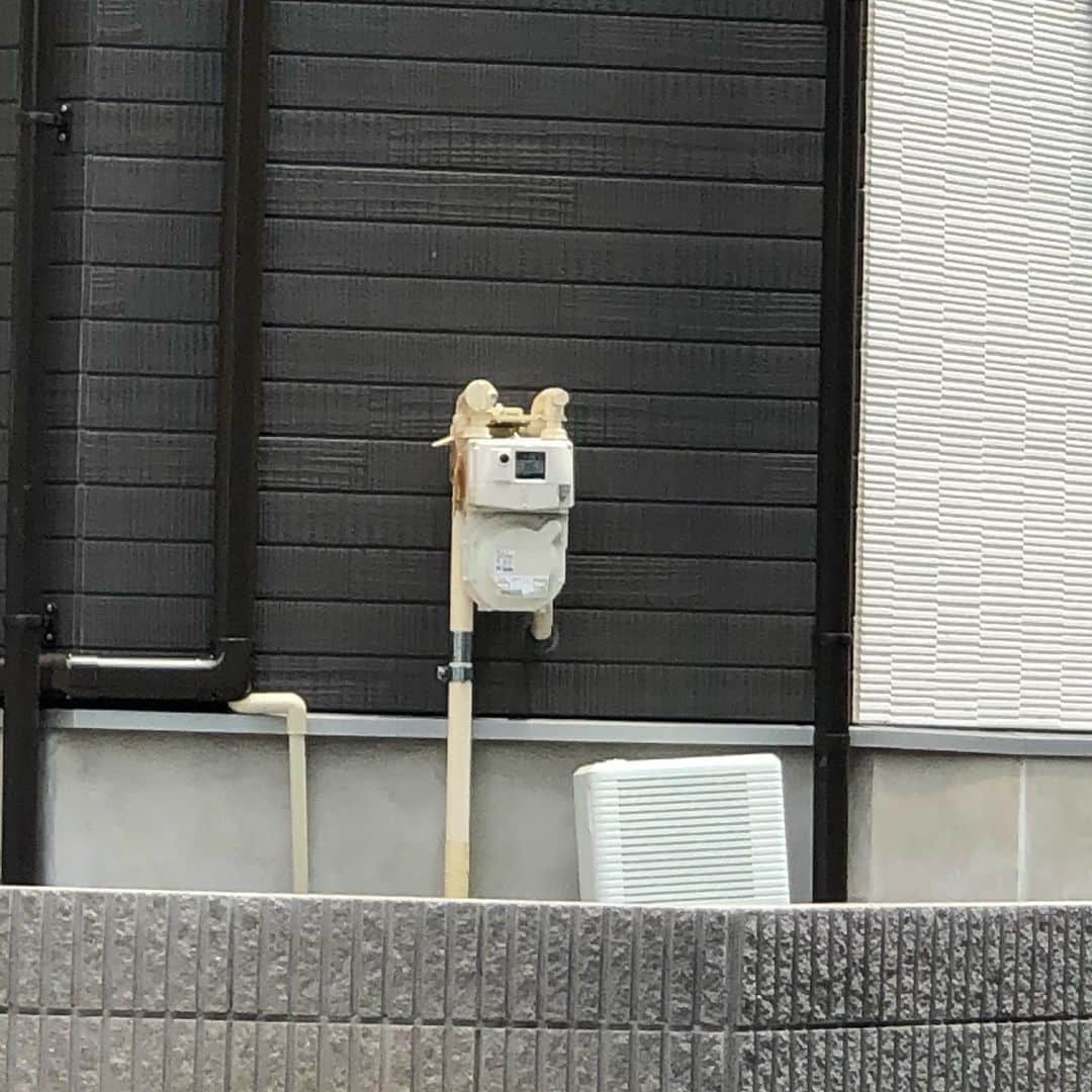 与座よしあきのインスタグラム：「柴犬みたいなガスメーター！」