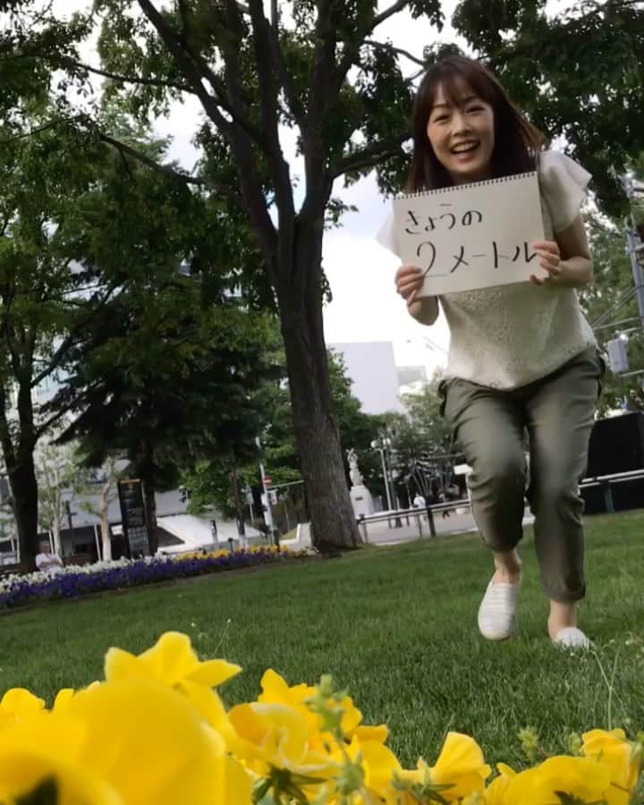 高橋春花のインスタグラム：「#きょうの2メートル ソーシャルディスタンスで 2メートル離れてくださいね、 と言われてもピンとこないので 2メートルのものを探してみました^ - ^ ハッシュタグから、 他のHTBアナウンサーの動画も見られます^ - ^ さらに！！！ TikTok始めました！ HTBのTikTokアカウントができたので 今回はTikTokの音楽に合わせて 動画を作ってみました。 インスタ用のこの音楽は後付けなんですが、 奇跡的にぴったり（笑） ぜひ見比べてください^ - ^ アカウント名は「HTB」で検索っ！！ 【追記】 先ほどアップされましたー！！ ハッシュタグに文字が隠れてしまってショック！ TikTokむずかしい…(*_*) #TikTok始めました #札幌#大通公園 #高橋春花#福田太郎 #アナウンサー #HTB」