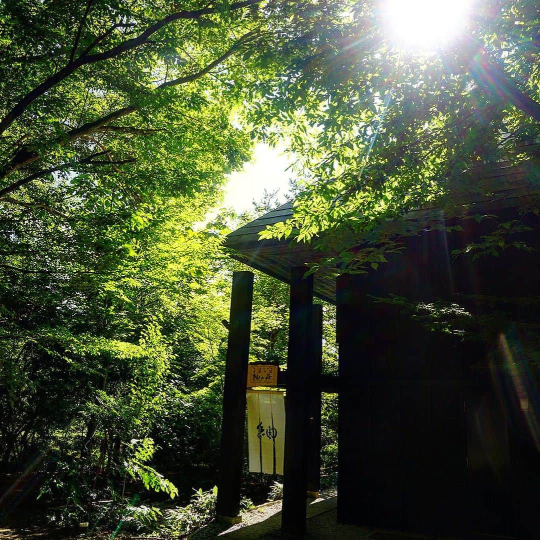 渡辺由布子さんのインスタグラム写真 - (渡辺由布子Instagram)「🍋🌿  八ヶ岳南麓で悠々と時を紬ぐ、 静けさと趣きに満ちた古民家で、 こんな暑い日こそ 冷たいすだち蕎麦を。  わざわざ足を運びたくなる場所のひとつ。  #紬山荘 #すだちそば #映え #フォトジェニック  #蕎麦スタグラム  #八ヶ岳 #山梨  #日本再発見 #discoverjapan  #japantrip  #drive #lunch #soba  #tbt🔙📸   📍 @tsumugi_sansou #🇯🇵」6月17日 18時22分 - watanabe_yuko