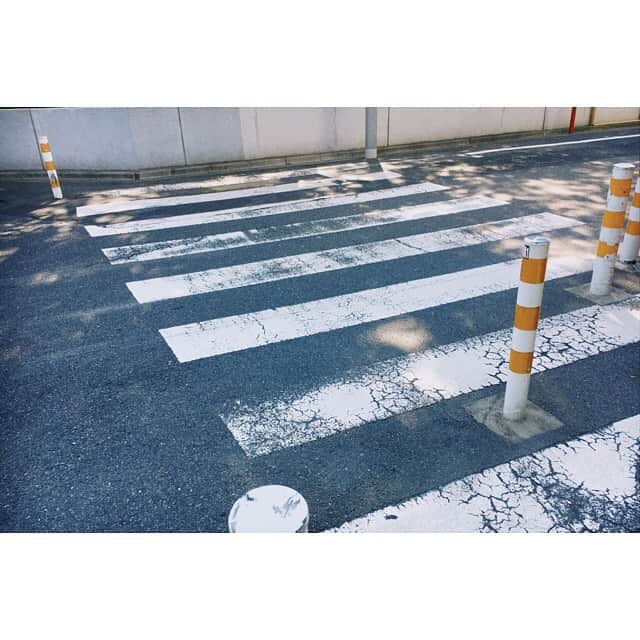 井之脇海さんのインスタグラム写真 - (井之脇海Instagram)「散歩中」6月17日 18時24分 - kai_inowaki