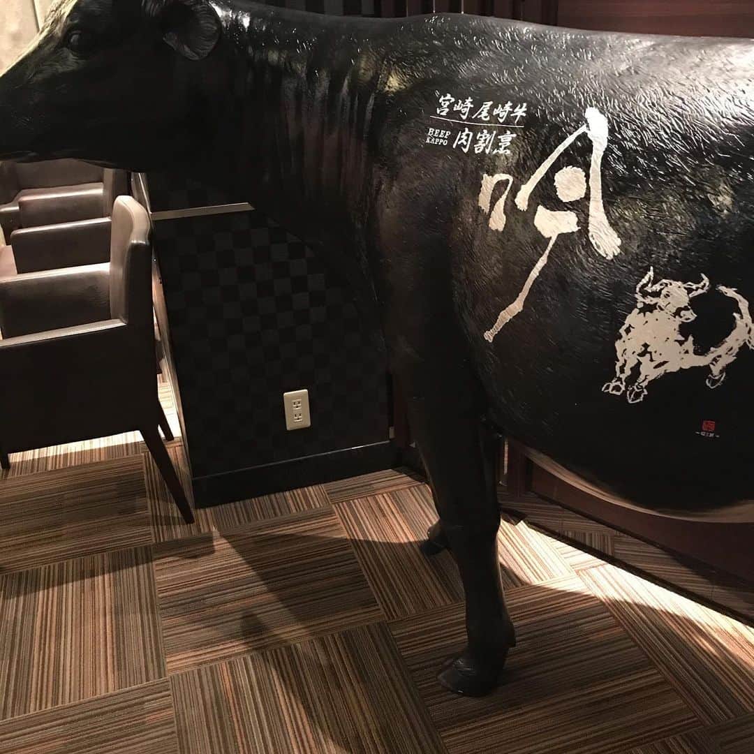 肉割烹吟北新地店のインスタグラム：「お久しぶりでございます。 この度6月19日金曜日から 吟北新地が営業再開と なります。  この自粛中にも多くの お客様からのお電話ご予約も ありました。  より一層サービスを 向上しつつ お客様に吟北新地ならではの 尾崎牛をご堪能下さいませ。  また店主ならび従業員一同 コロナ対策をしておりますので 御協力ほどよろしく お願いいたします。  是非お立ち寄り下さいませ。  #肉割烹吟 #尾崎牛 #宮崎 #北新地 #大阪 #梅田  #肉 #割烹 #和牛 #ディナー #料理 #ワイン #サプライズ #デート #接待 #顔合わせ #コース #記念日 #誕生日 #ステーキ #お土産 #サンドイッチ #カツサンド #玉子サンド #肉好き #テイクアウト #すき焼き #コロナ対策」
