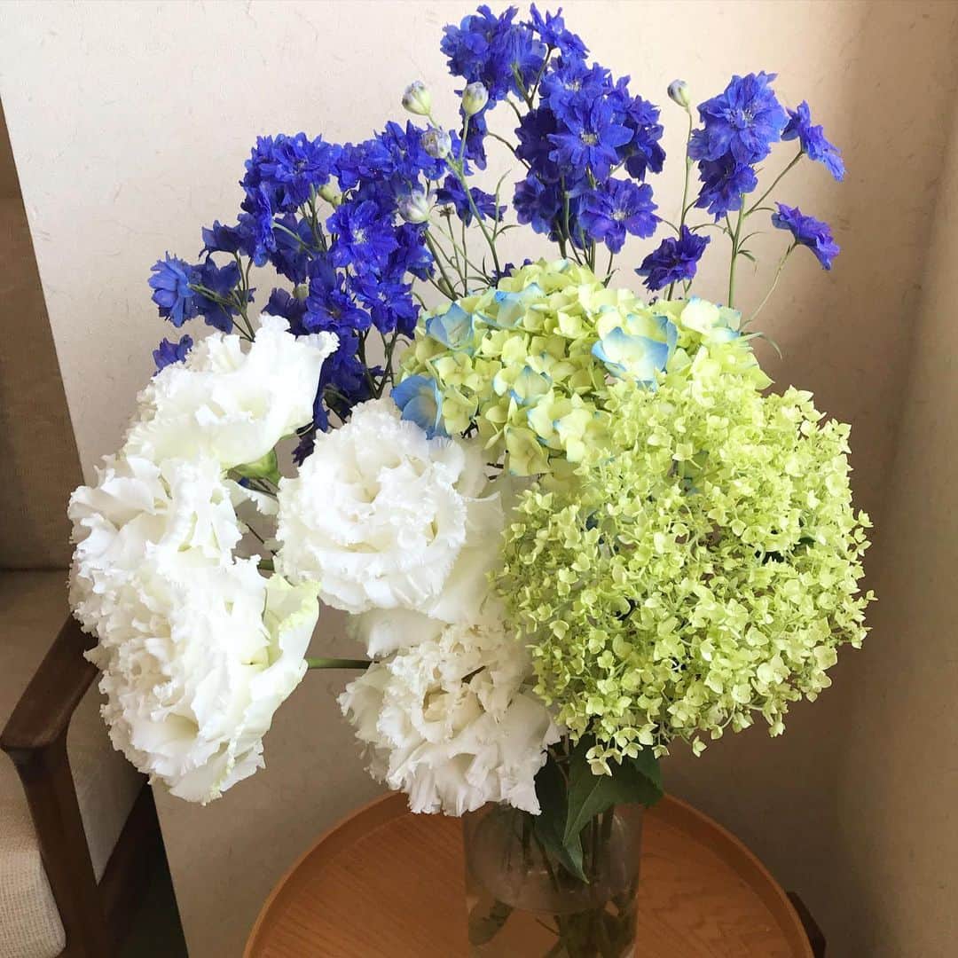 福田葉子さんのインスタグラム写真 - (福田葉子Instagram)「お花屋さんの店頭はもうすっかりひまわり推しですが、もう少しだけアジサイを楽しませてください…。グリーンとブルーまじりのアジサイに白と青を添えて、今週のお花。 #flowers #hydrangea #season #お花　#アジサイ　#紫陽花　#花のある暮らし」6月17日 14時25分 - yoyoyokoko
