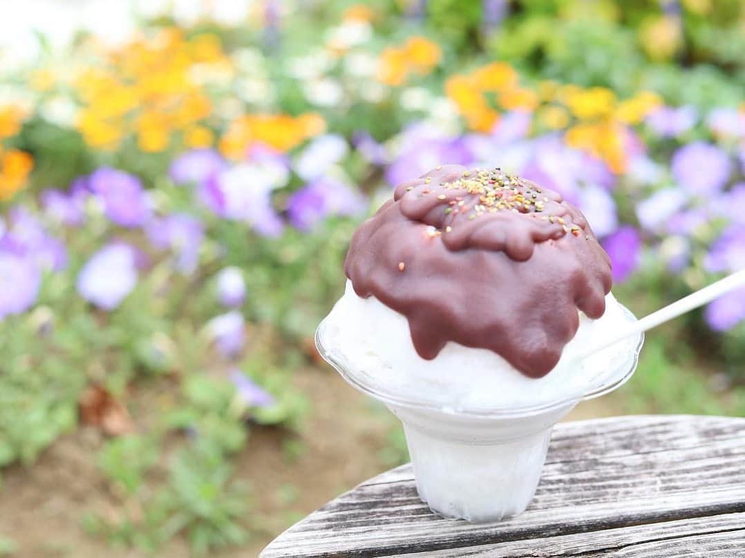 木南清香のグルメインスタ