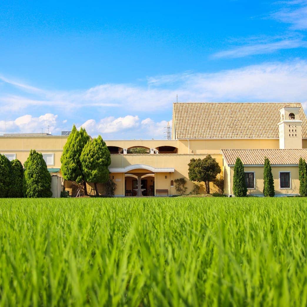 メゾン エルミタージュのグルメインスタ