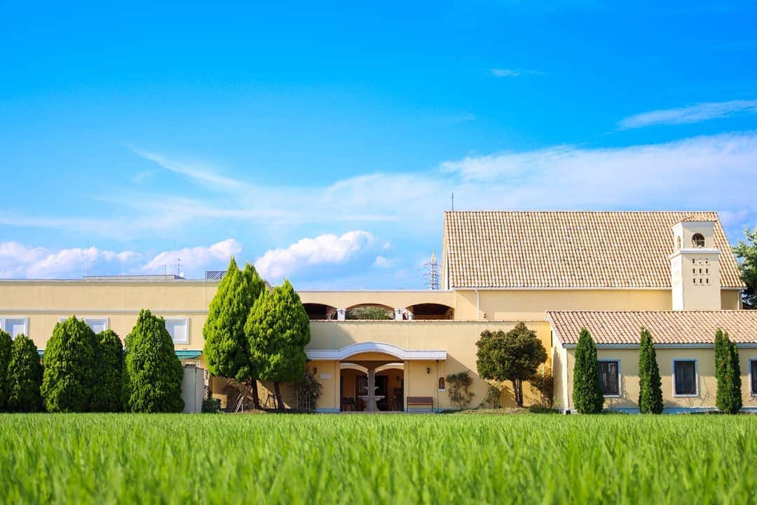 メゾン エルミタージュのグルメインスタ