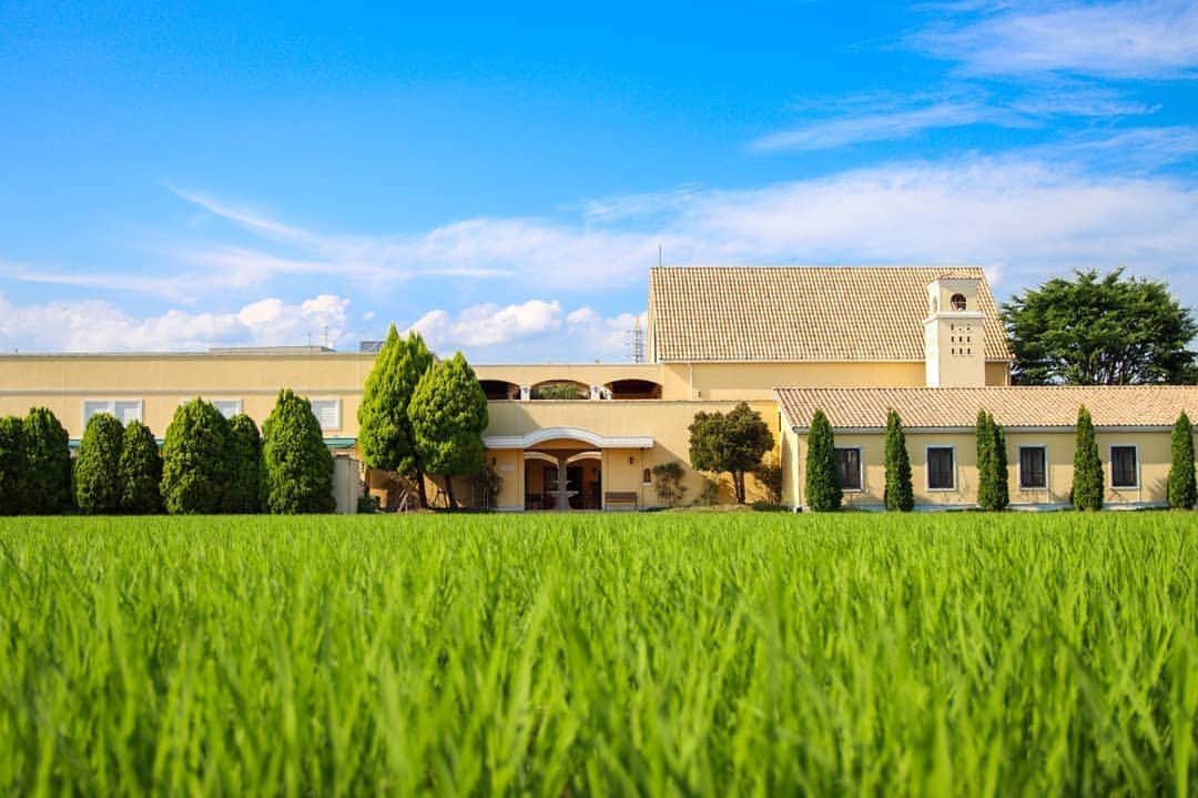 メゾン エルミタージュのグルメインスタ