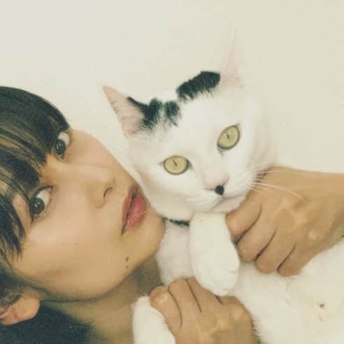佐藤乃莉さんのインスタグラム写真 - (佐藤乃莉Instagram)「カメラ目線頂きました。  #instacat #cat#love#family#おすし」6月17日 18時46分 - nori_sato_